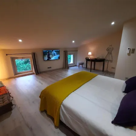 Le Loft Sur Les Quais *